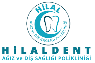 logo1.png